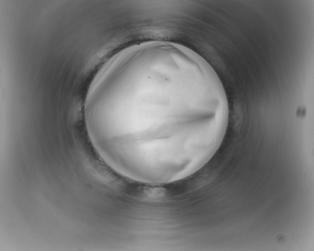 X0000113100355200909182144