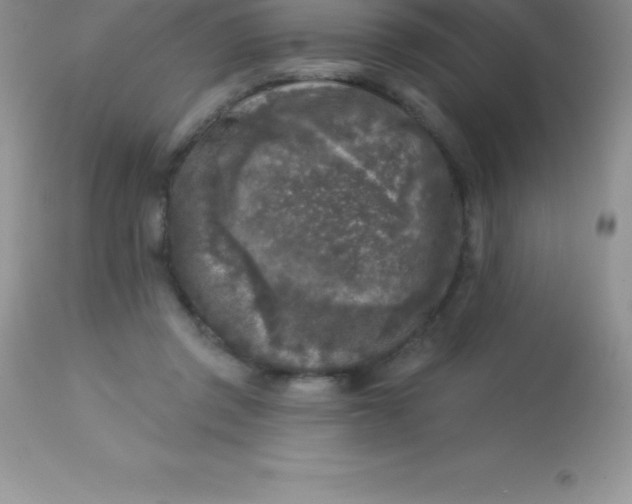 X0000113100357200909182144