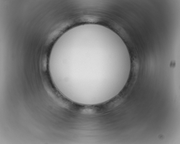 X0000113100358200909182144