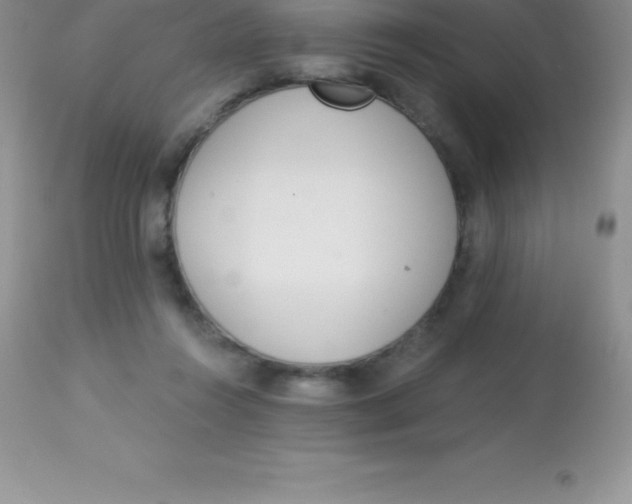 X0000113100360200909182144