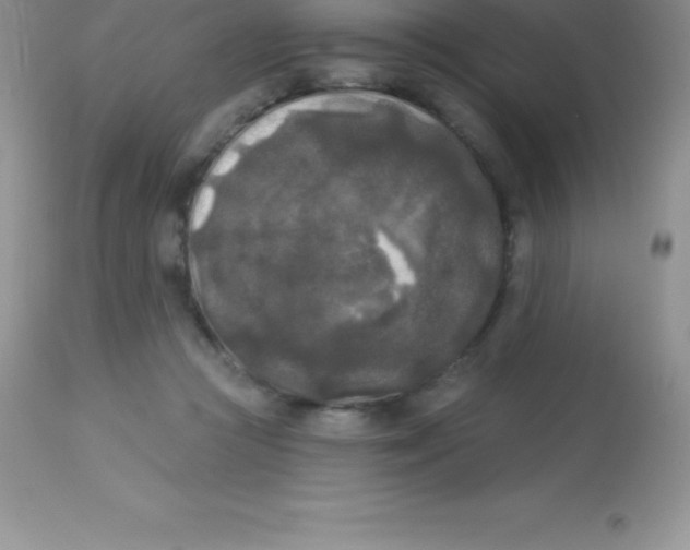 X0000113100361200909182144
