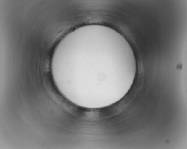 X0000113100362200909182144