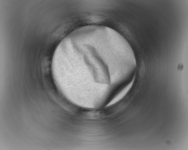 X0000113100366200909182144