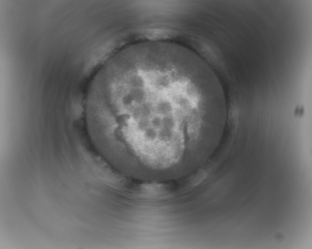 X0000113100367200909182144