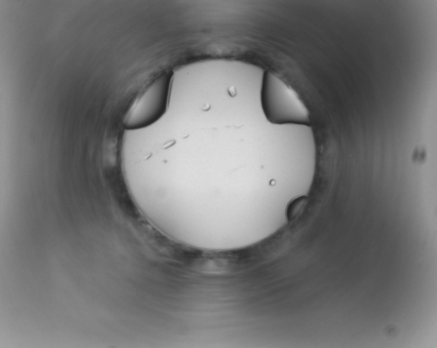 X0000113100368200909182144