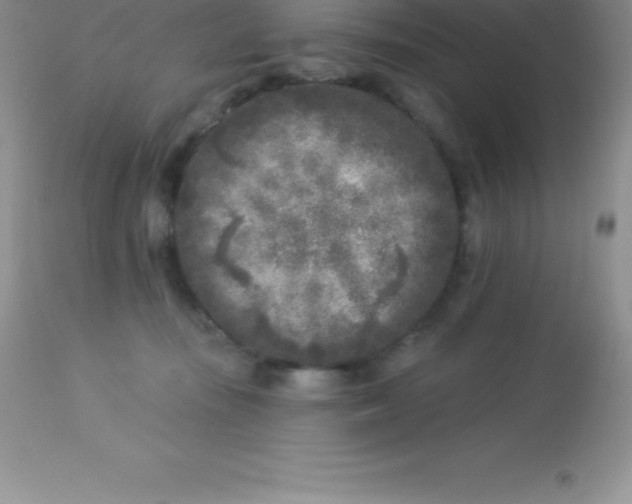 X0000113100371200909182144