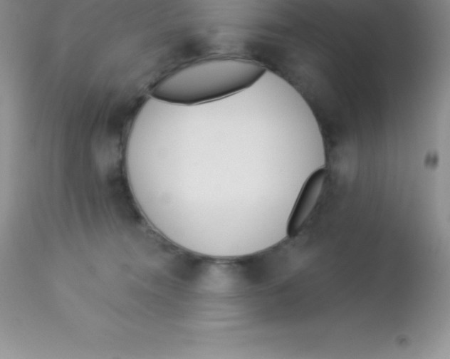 X0000113100372200909182144