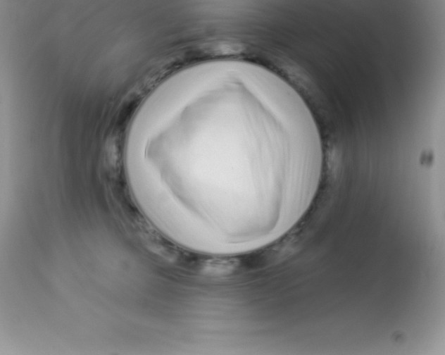 X0000113100373200909182144