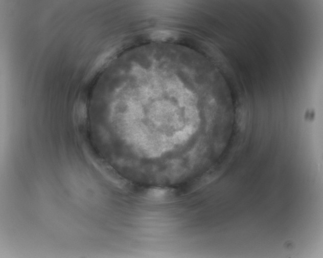 X0000113100375200909182144