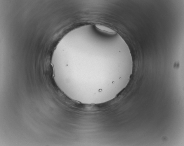 X0000113100376200909182144