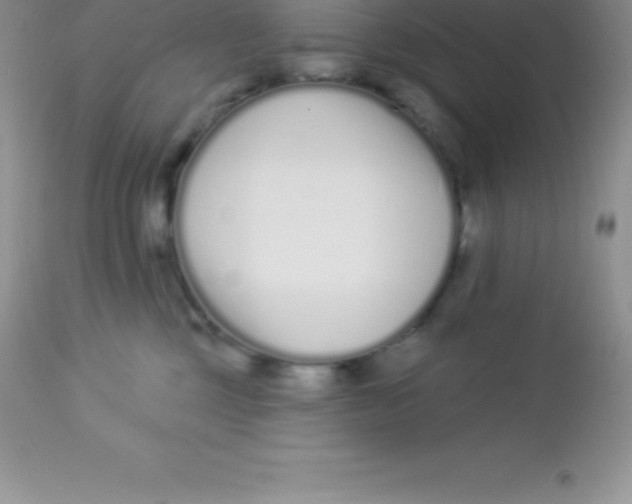 X0000113100377200909182144