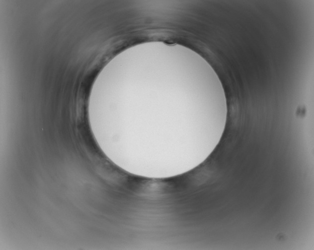 X0000113100379200909182144