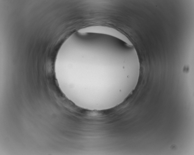 X0000113100380200909182144
