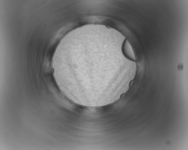 X0000113100381200909182144