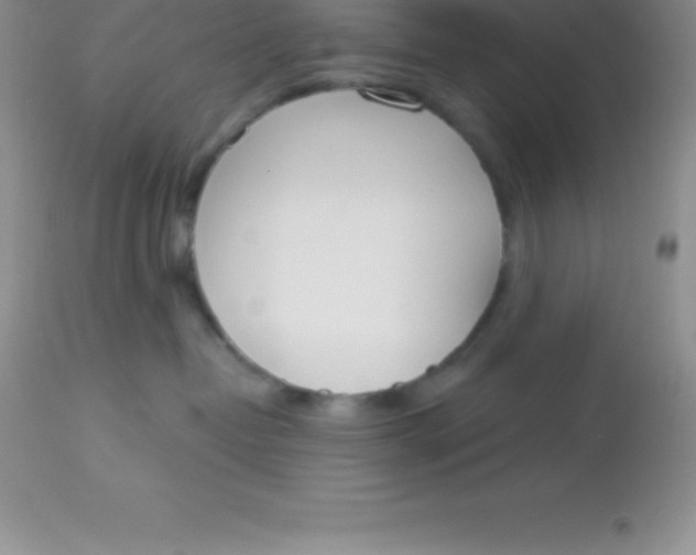 X0000113100382200909182144