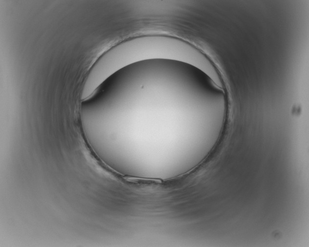 X0000113100385200909182143