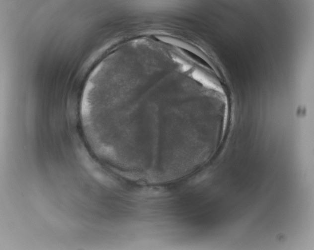 X0000113100386200909182143