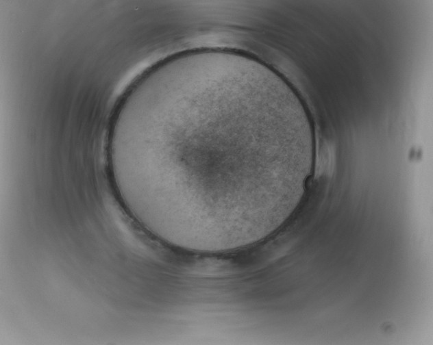 X0000113100387200909182143