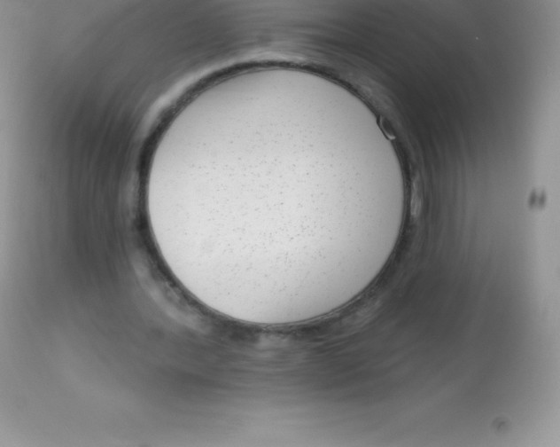 X0000113100388200909182143