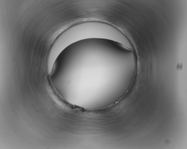 X0000113100389200909182143