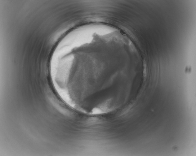 X0000113100390200909182143