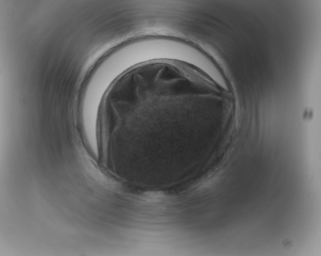 X0000113100391200909182143