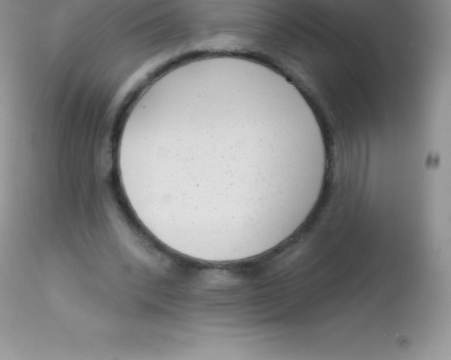 X0000113100392200909182143