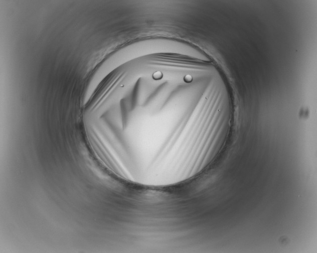 X0000113100393200909182143