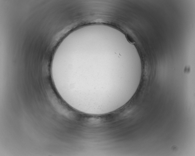 X0000113100394200909182143