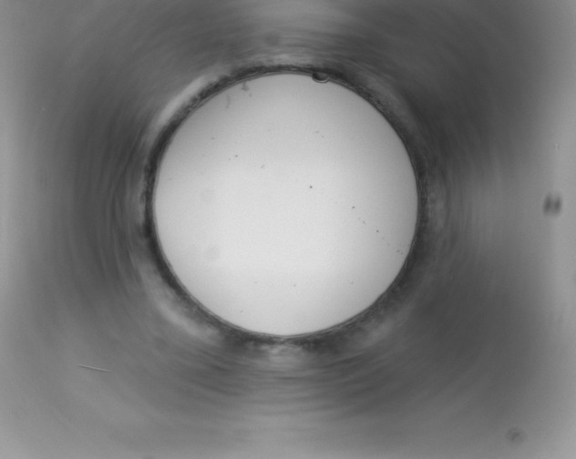 X0000113100395200909182143