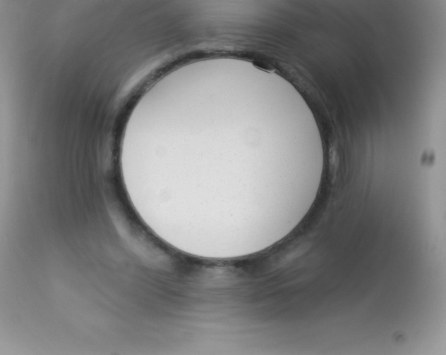 X0000113100396200909182143