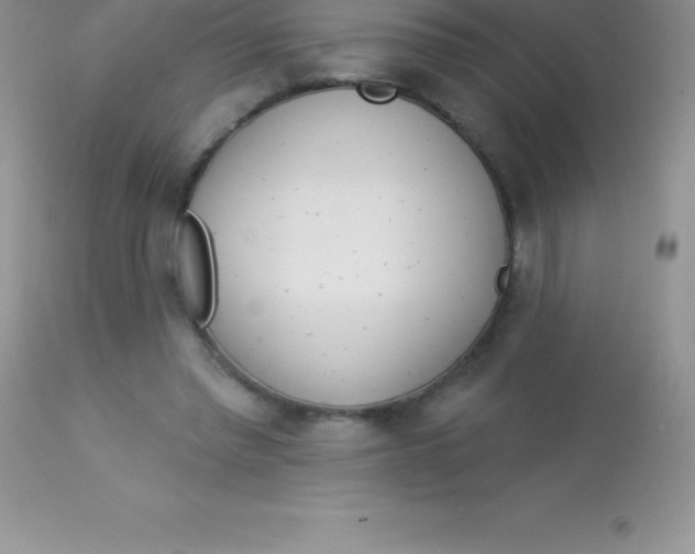 X0000113100397200909182143