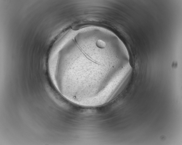 X0000113100398200909182143