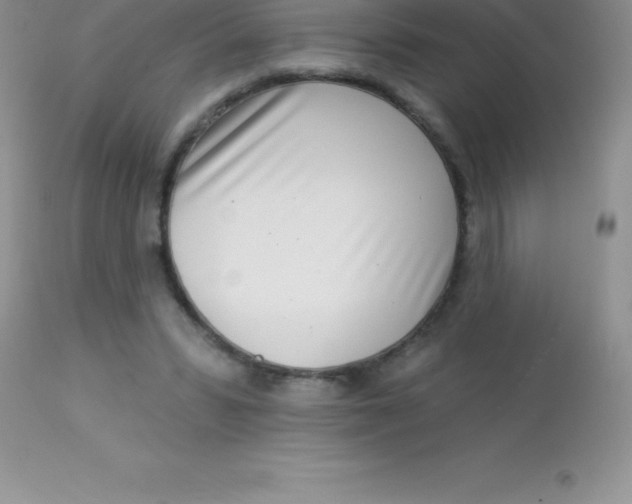 X0000113100399200909182143