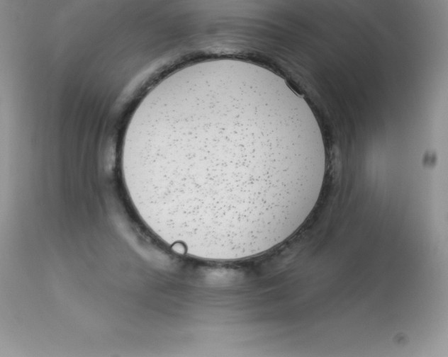X0000113100400200909182143