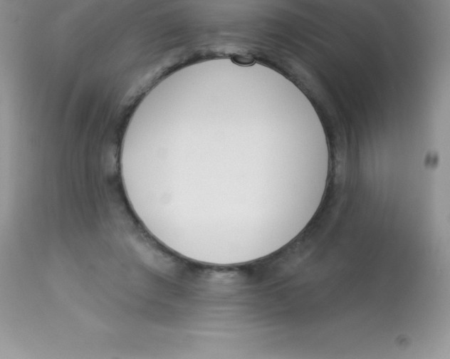 X0000113100401200909182143