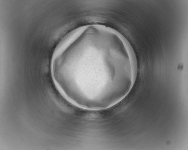 X0000113100402200909182143