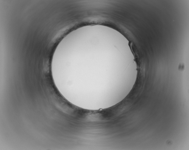 X0000113100403200909182143