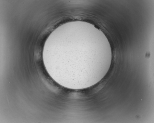 X0000113100408200909182143