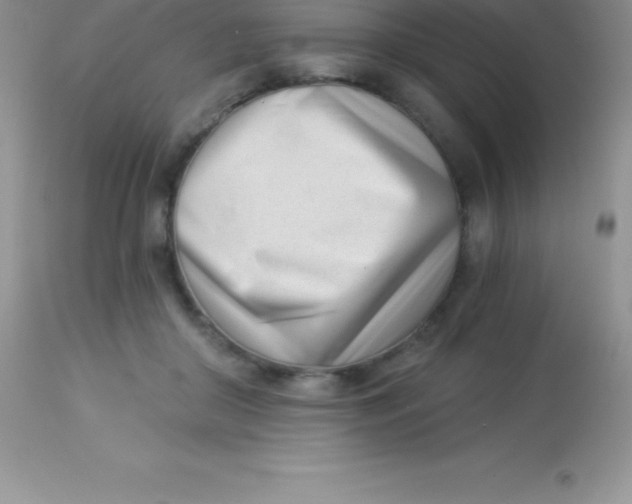 X0000113100410200909182143