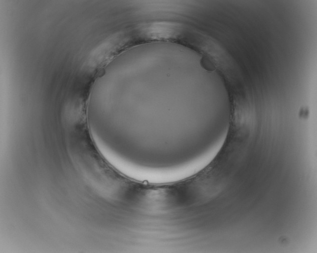 X0000113100411200909182143