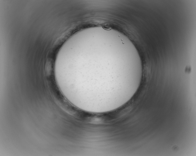 X0000113100412200909182143