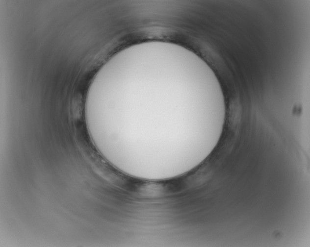 X0000113100413200909182143