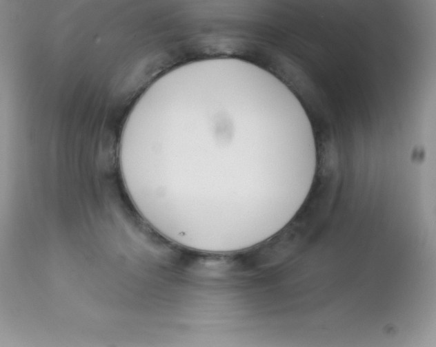 X0000113100414200909182143