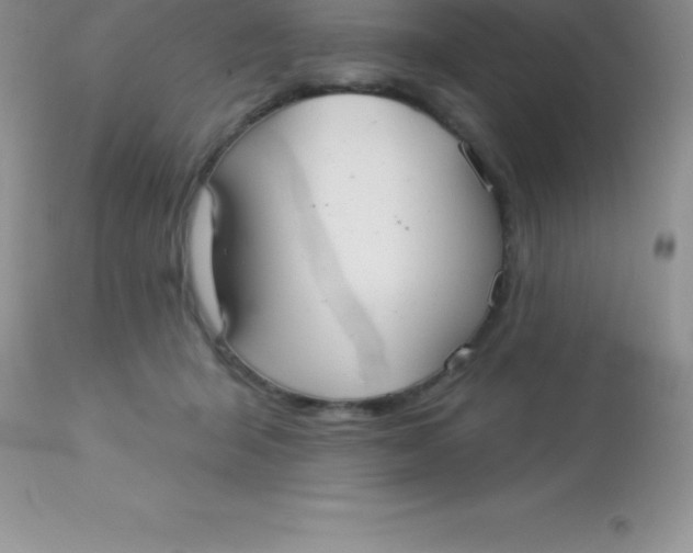 X0000113100415200909182143