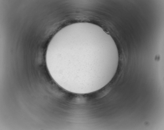 X0000113100416200909182143