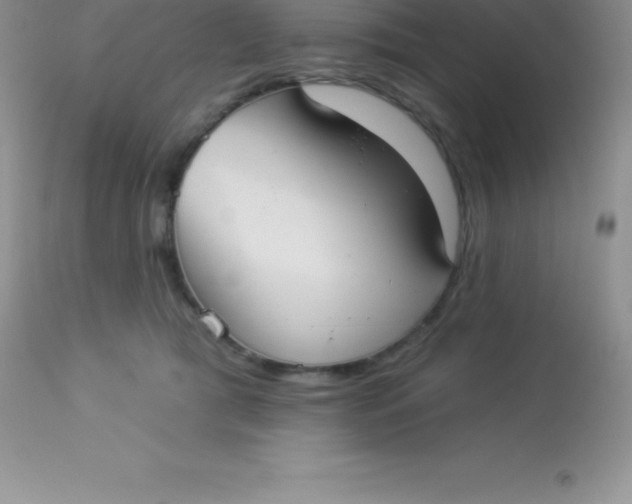 X0000113100417200909182143