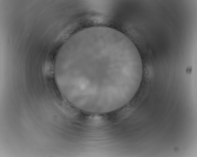 X0000113100419200909182143
