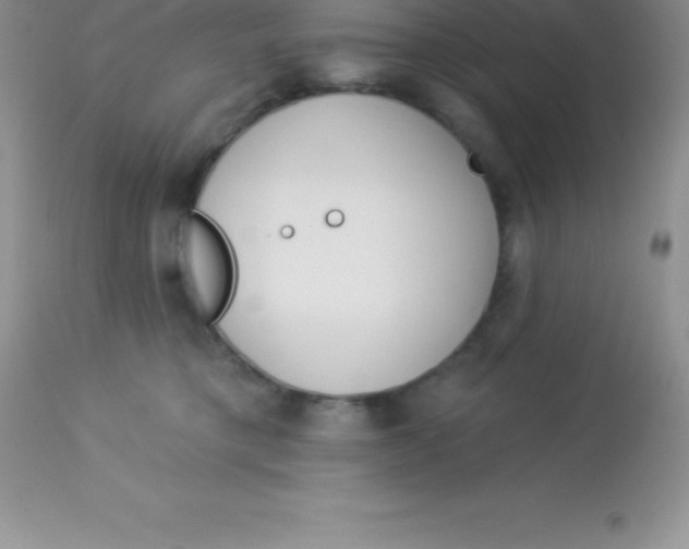 X0000113100421200909182143