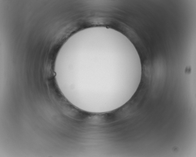 X0000113100422200909182143